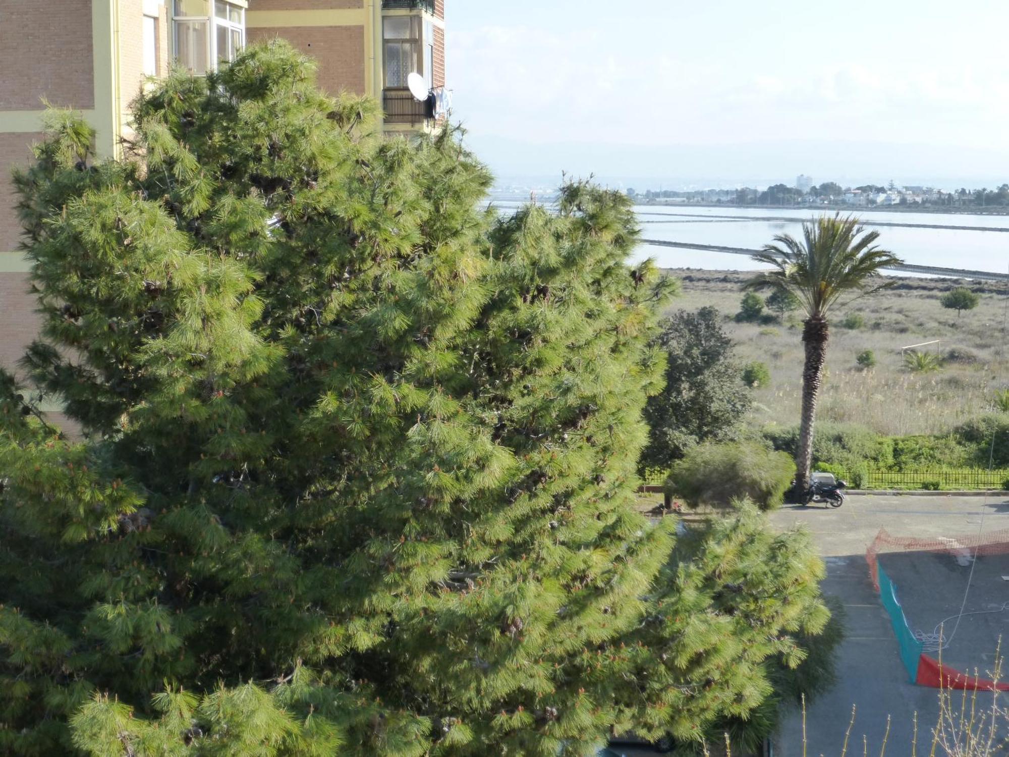 Chelu & Luna Cagliari
